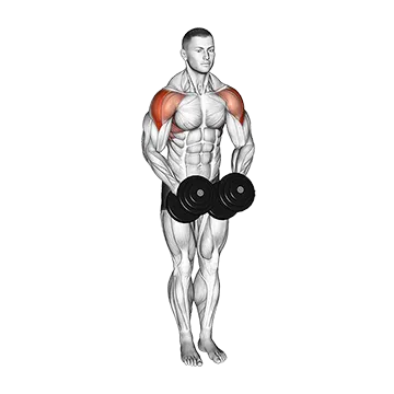 Dumbbell Standing Bent Arm Lateral Raise