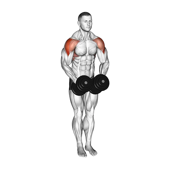 Dumbbell Standing Bent Arm Lateral Raise exercise animation (Male)