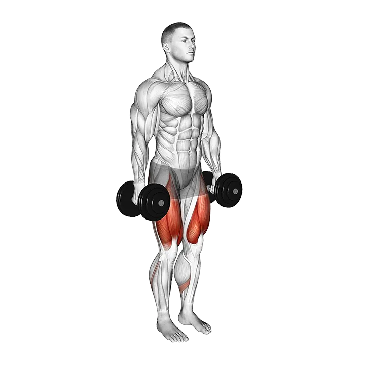 Dumbbell Narrow Stance Squat exercise animation (Hombre)