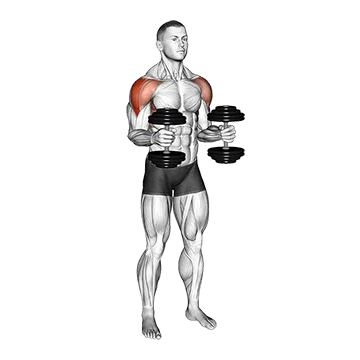Dumbbell Bent Arm Lateral Raise