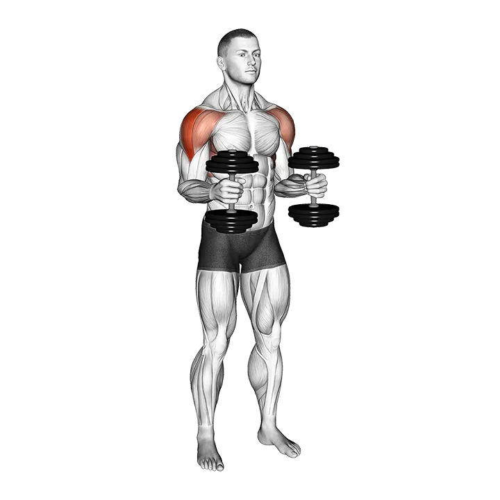 Dumbbell Bent Arm Lateral Raise exercise animation (Male)