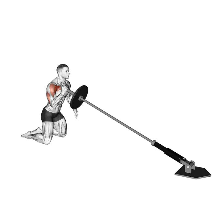 Landmine Kneeling One Arm Shoulder Press (VERSION 2) exercise animation (Male)