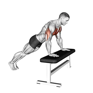 Incline Push-Up (on bench)
