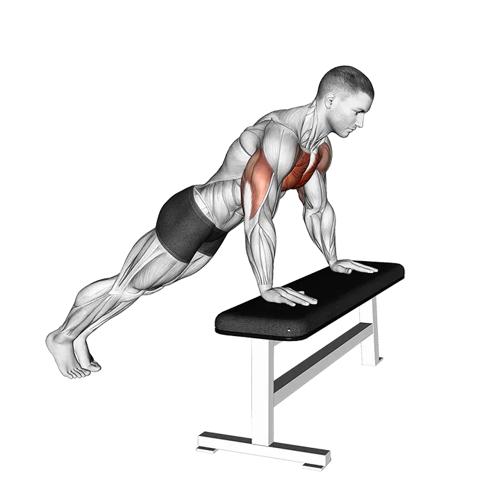 Incline Push-Up (on bench) exercise animation (Male)