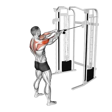 Cable Standing Face Pull (with rope)
