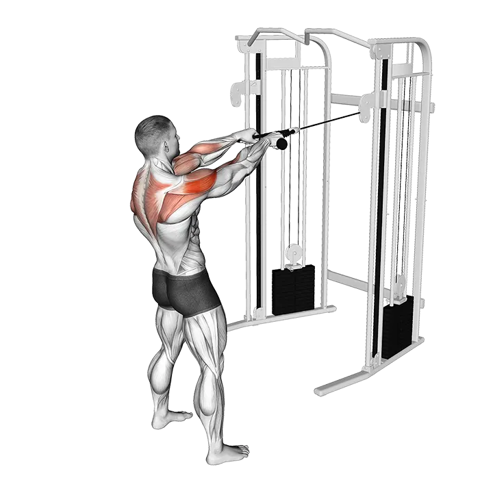 Cable Standing Face Pull (with rope) exercise animation (Male)