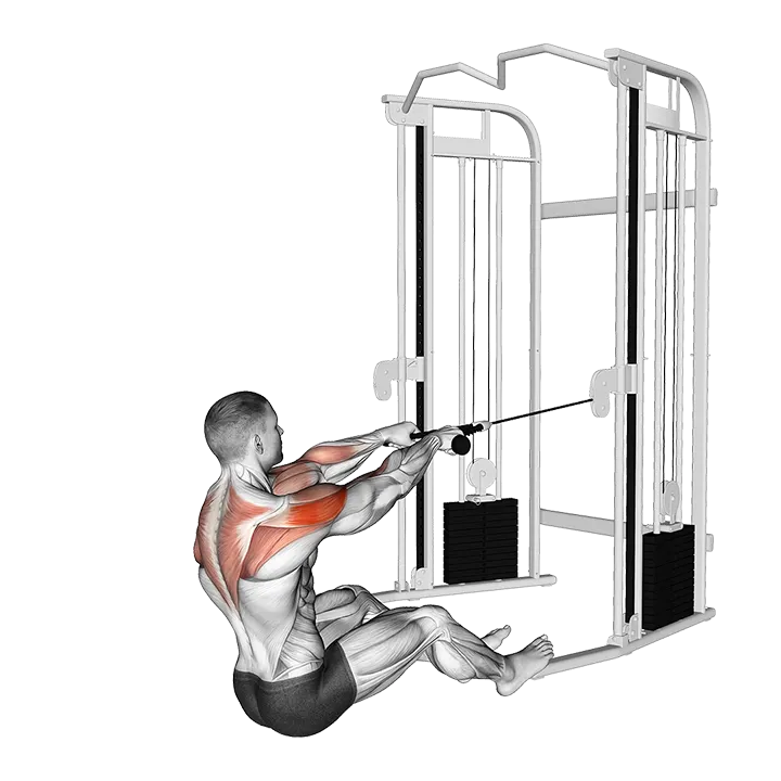 Cable Seated Face Pull (with rope) exercise animation (Male)