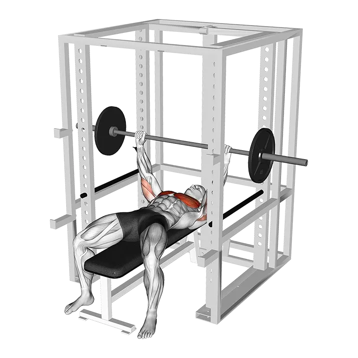Barbell Pin Chest Press exercise animation (Male)