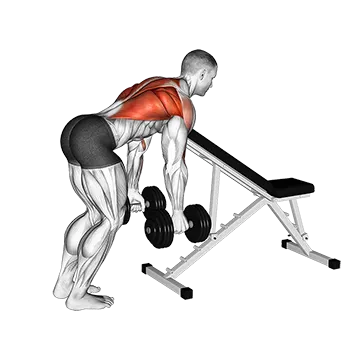 Dumbbell Bent Over Row with Chest Support