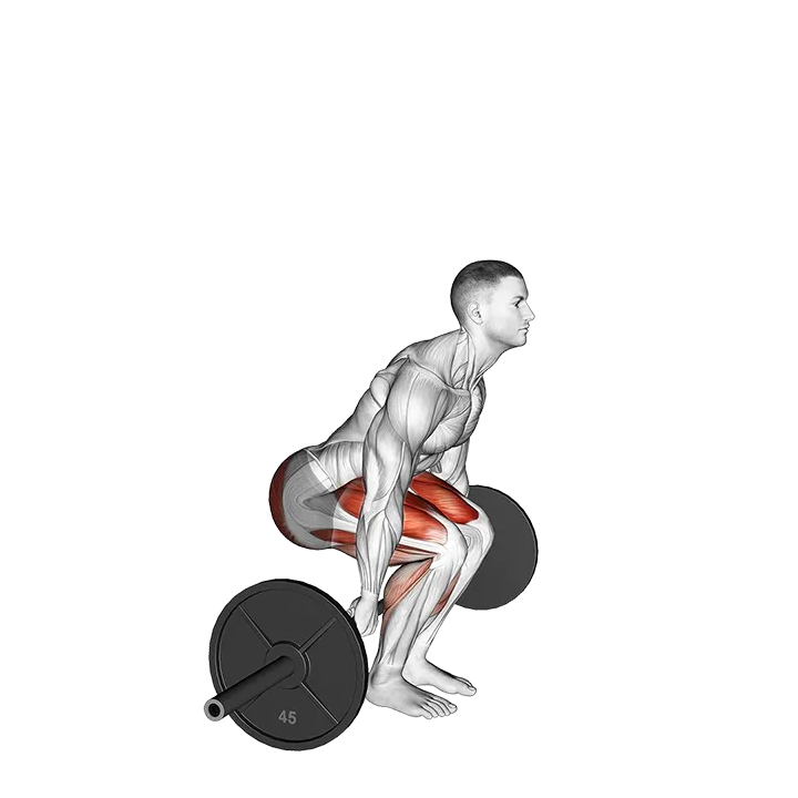Barbell Behind The Back Deadlift exercise animation (Male)