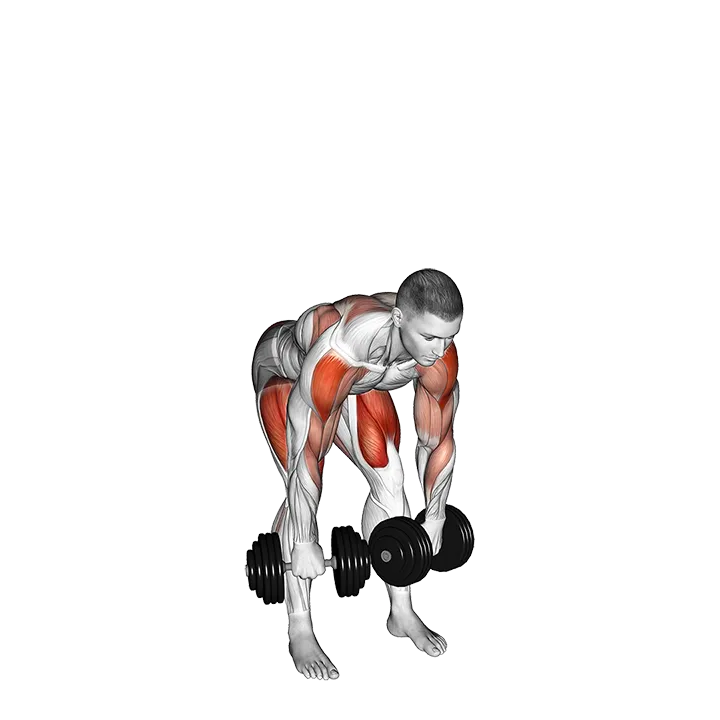Dumbbell High Pull exercise animation (Male)