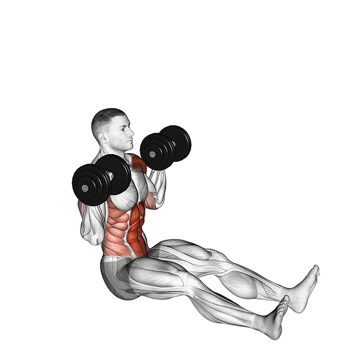 Dumbbell Z Press exercise animation (Male)