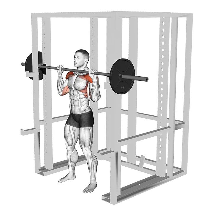 Barbell Standing Shoulder Pin Press exercise animation (Male)