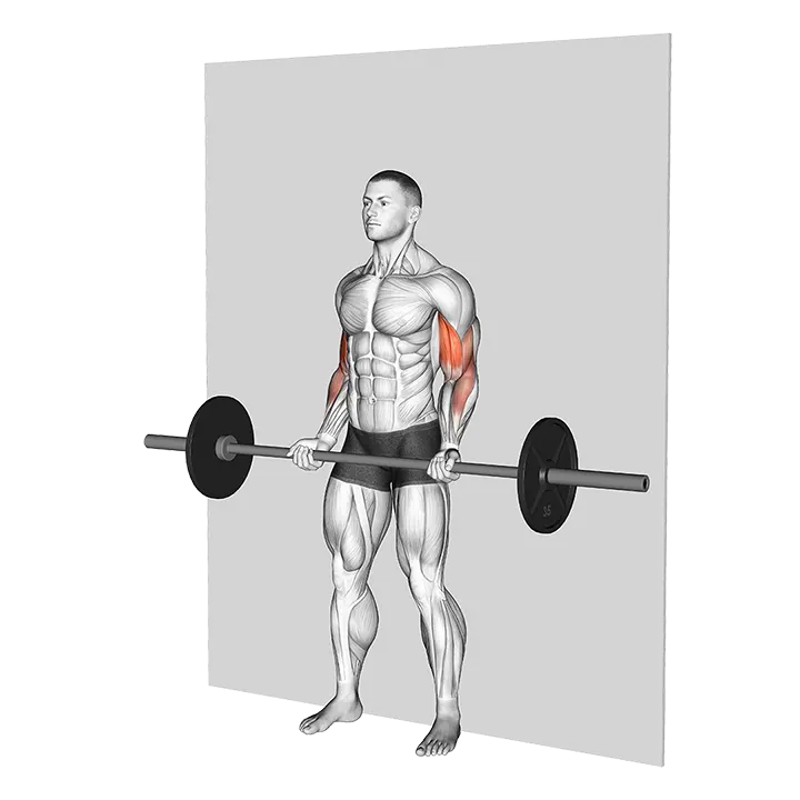 Barbell Srtict Curl exercise animation (Male)