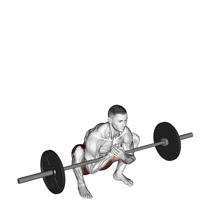 Barbell Zercher Deadlift exercise animation (Male)