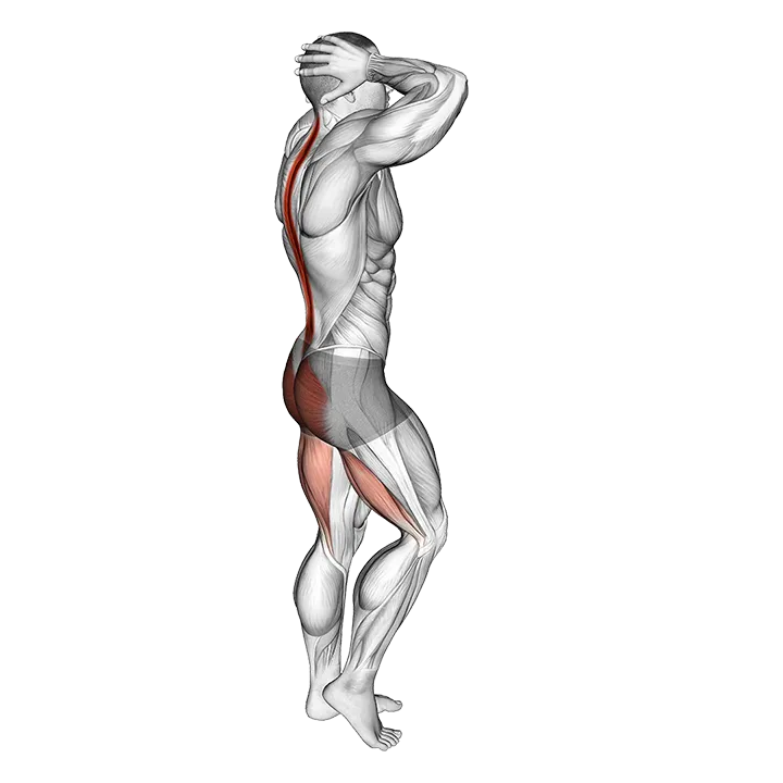 Bodyweight B Stance Good Morning exercise animation (Male)