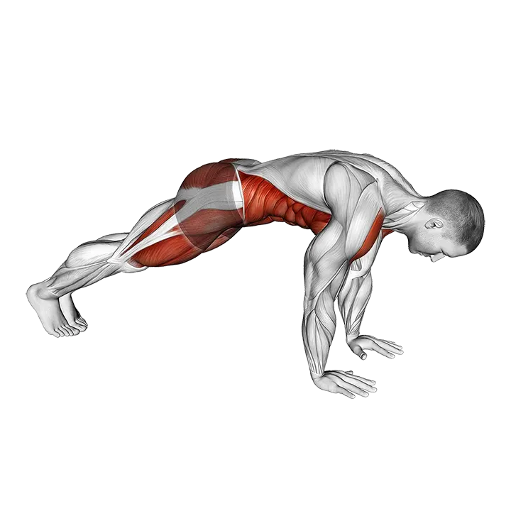 Side Mountain Climber exercise animation (Male)