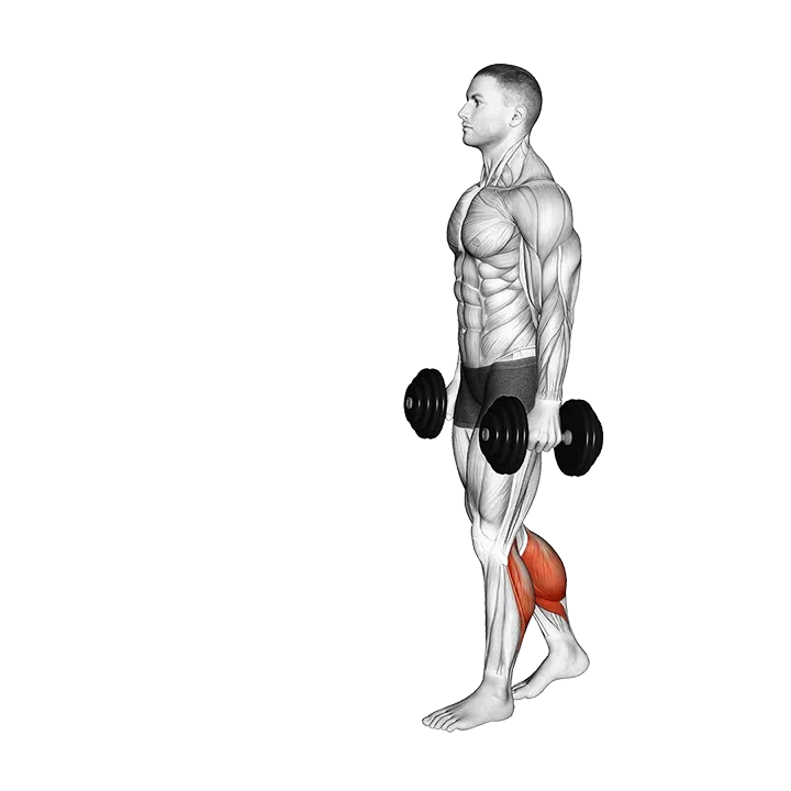Dumbbell Walking Calf Raise exercise animation (Male)