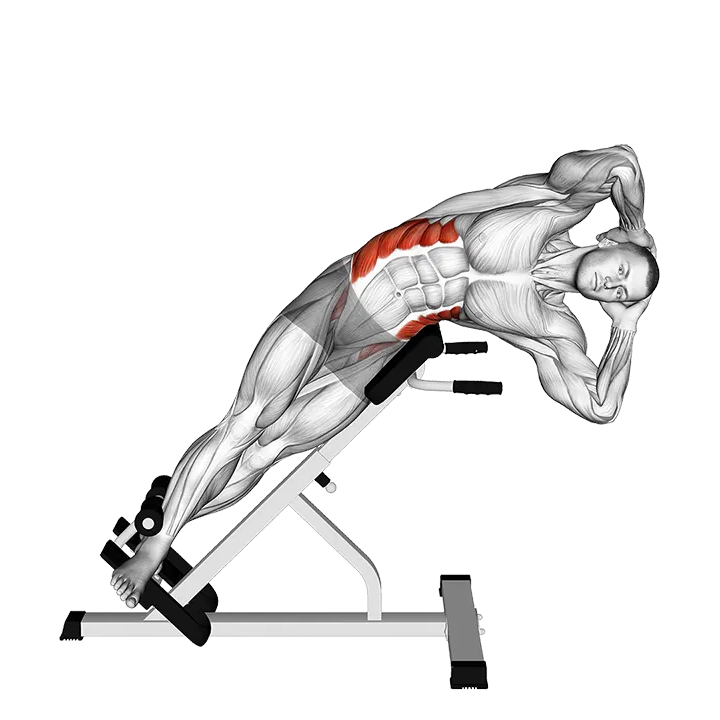 45 degrees Side Bend exercise animation (Male)