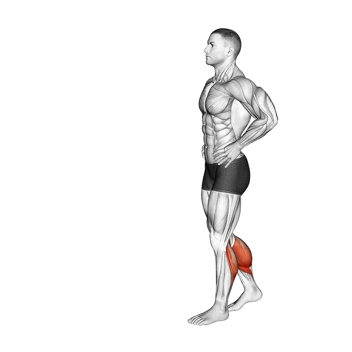 Bodyweight Walking Calf Raise exercise animation (Male)