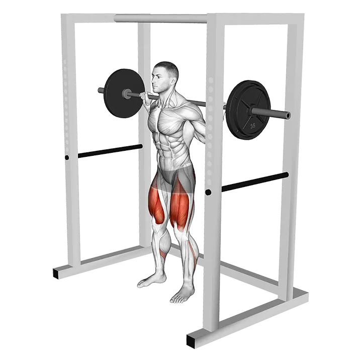 Barbell Pin Squat exercise animation (Male)