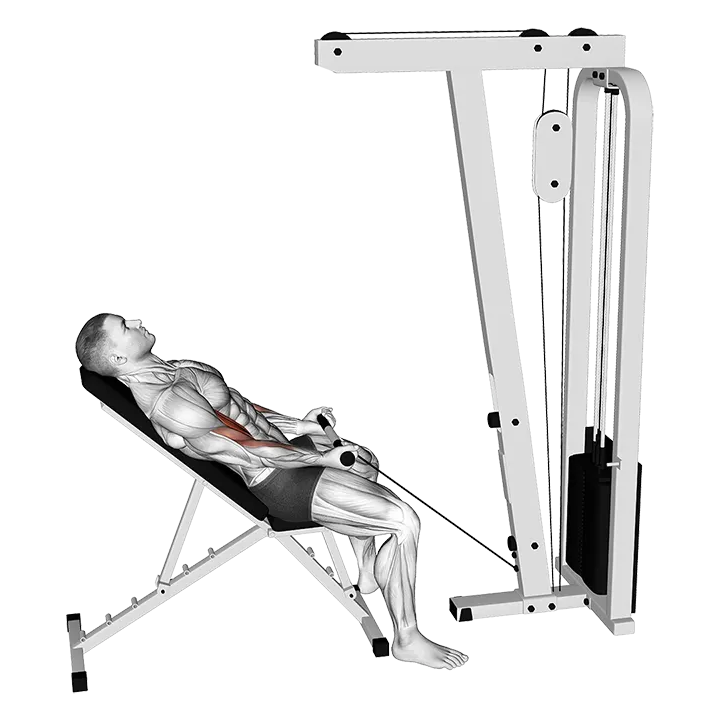 Cable Incline Biceps Curl exercise animation (Male)