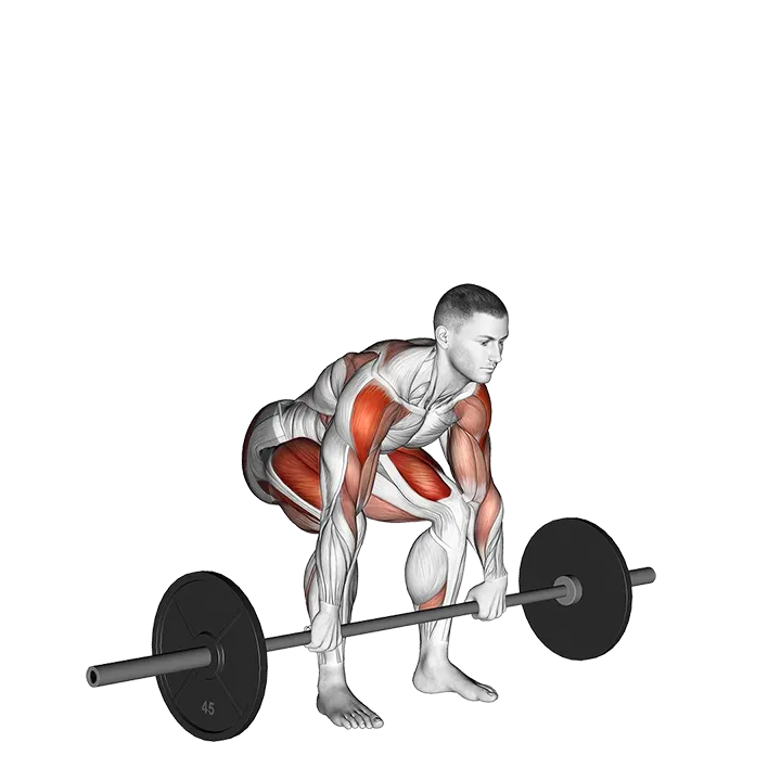 Barbell Clean High Pull exercise animation (Male)