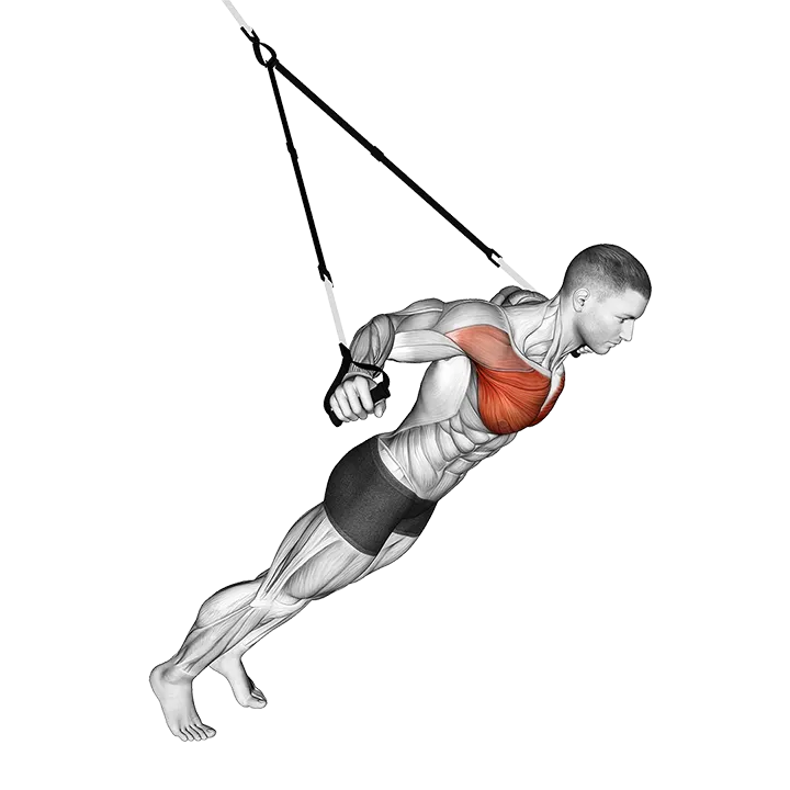 Suspension Fly exercise animation (Male)