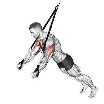 Suspension Chest Press