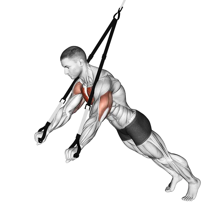 Suspension Chest Press exercise animation (Male)