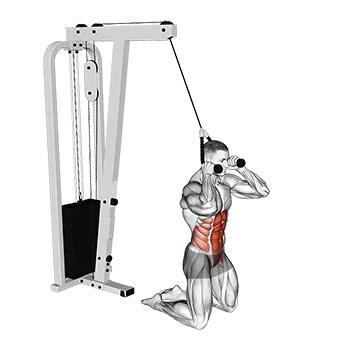 Cable Kneeling Crunch (VERSION 2)