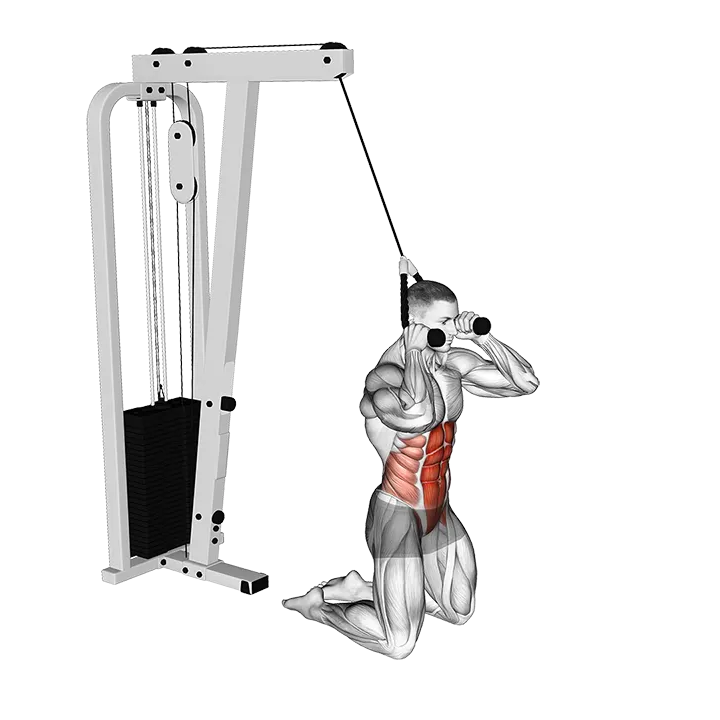 Cable Kneeling Crunch (VERSION 2) exercise animation (Male)