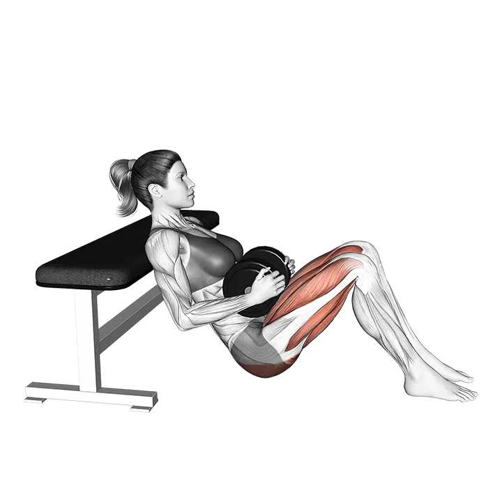 Dumbbell Hip Thrust (VERSION 2) exercise animation (Female)