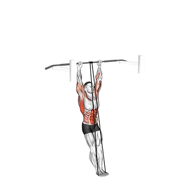 Band Assisted Muscle-up