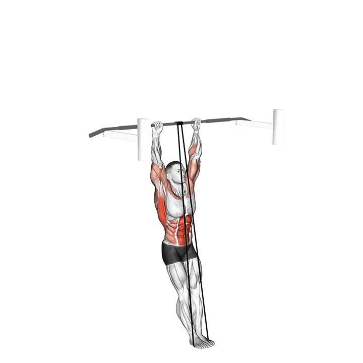 Band Assisted Muscle-up exercise animation (Male)