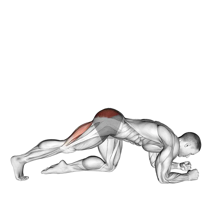 Kicks Leg Bent exercise animation (Male)