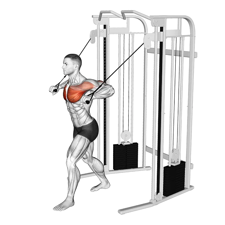 Cable Low Chest Press exercise animation (Male)