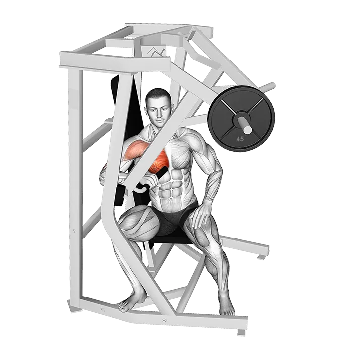 Lever One Arm Side Chest Press exercise animation (Male)