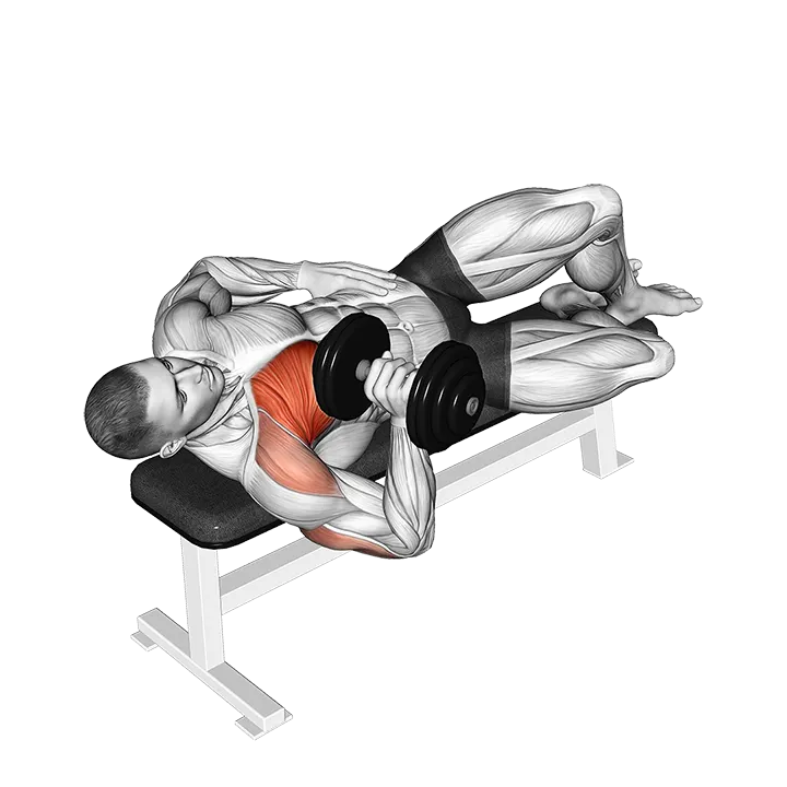 Dumbell One Arm Side Lying Bench Press exercise animation (Male)