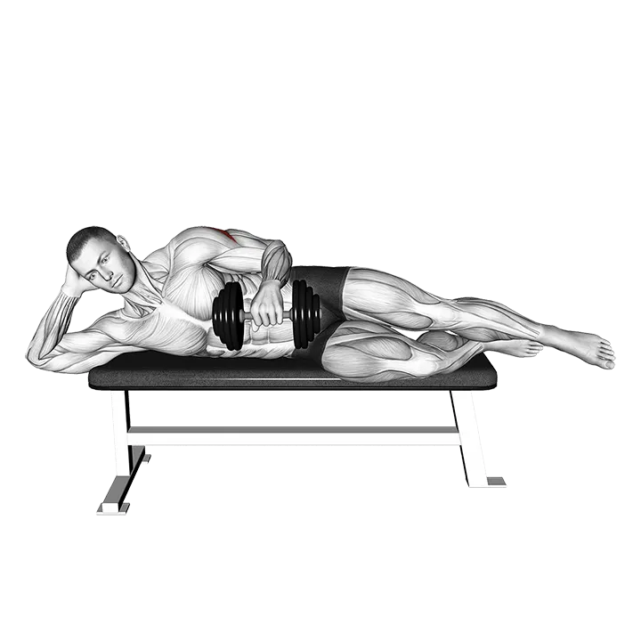 Dumbbell Side Lying External Rotation (on a bench) exercise animation (Male)