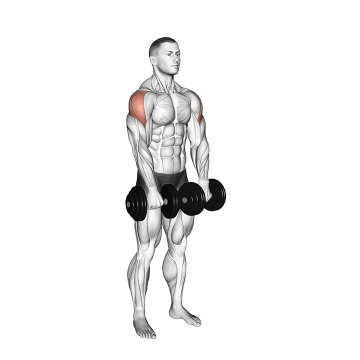 Dumbbell Empty Can Exercise exercise animation (Male)