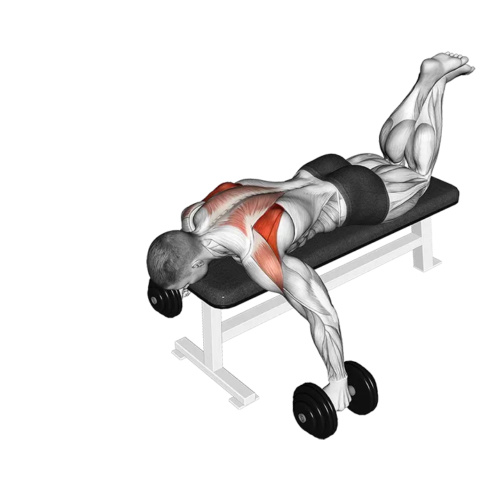 Dumbbell Prone Full Can Exercise exercise animation (Male)