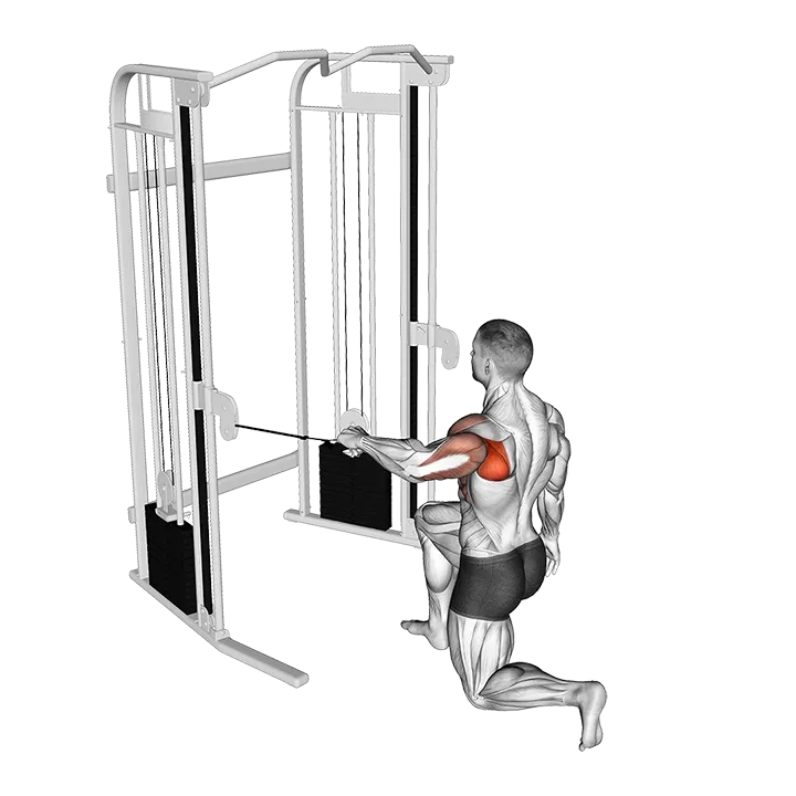 Cable Kneeling Shoulder 90 degrees External Rotation Press exercise animation (Male)
