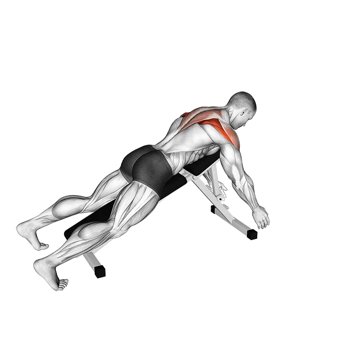 Prone Y Raise exercise animation (Male)