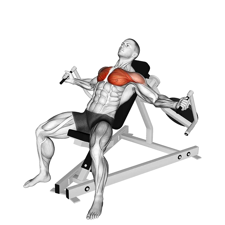 Lever Incline Fly exercise animation (Male)