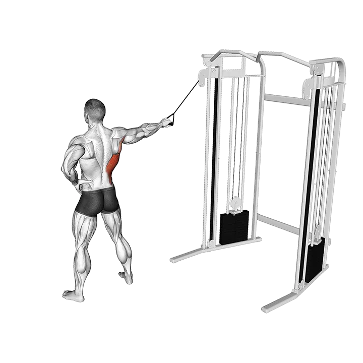 Single Arm Side Straight Arm Lat Pulldown exercise animation (Male)