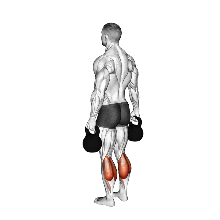 Kettlebell Standing Calf Raise exercise animation (Male)