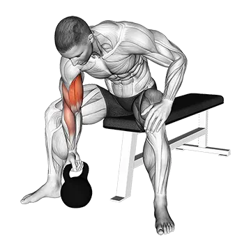 Kettlebell Concentration Curl