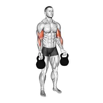 Kettlebell Biceps Curl