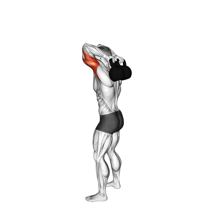 Kettlebell Overhead Triceps Extension exercise animation (Male)
